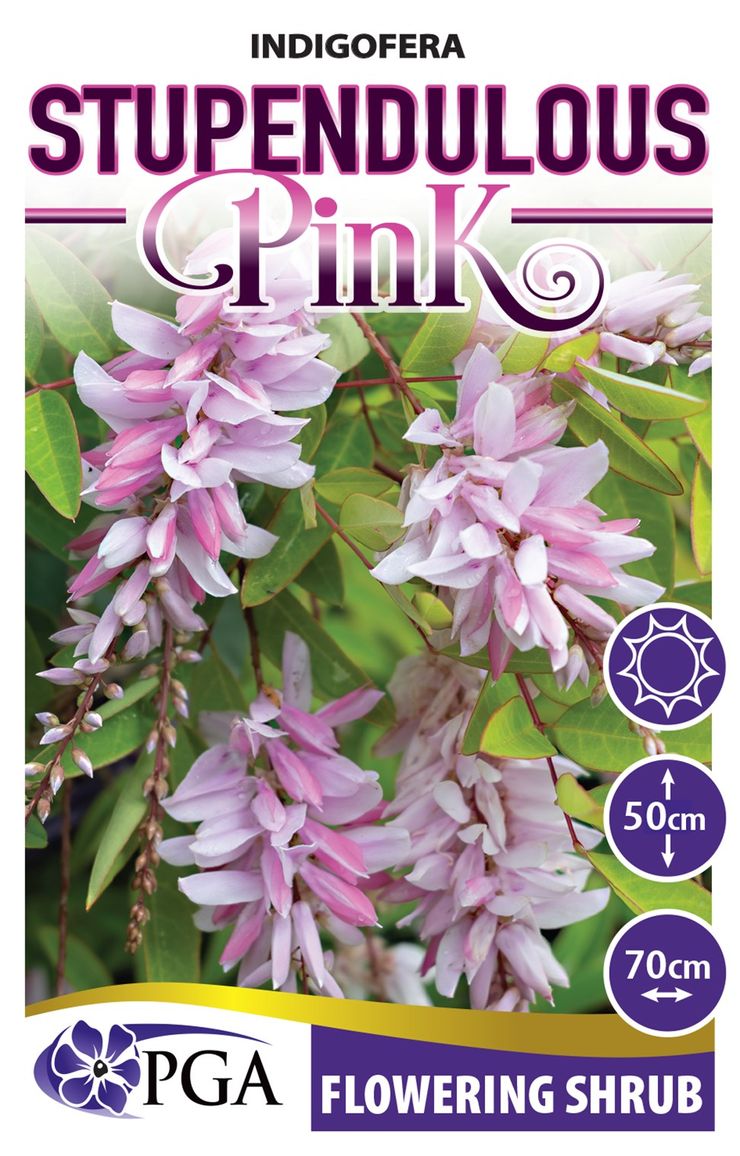 the plant broker
