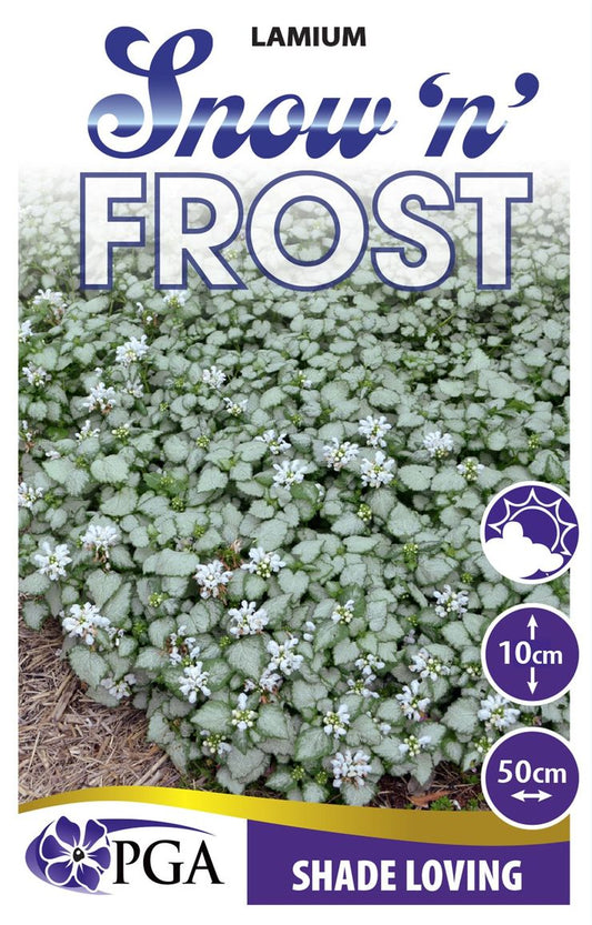 Lamium ‘Snow n Frost'