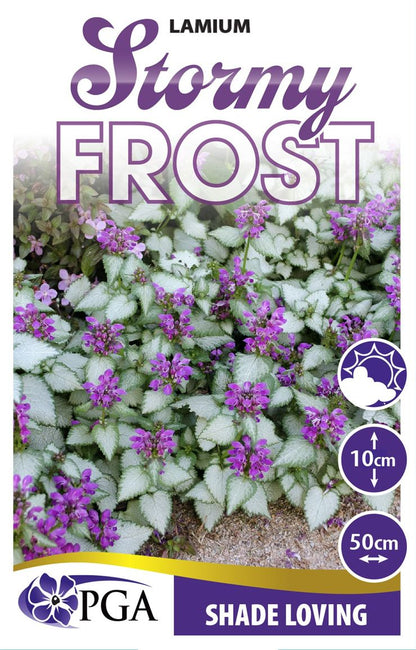 Lamium ‘Stormy Frost'