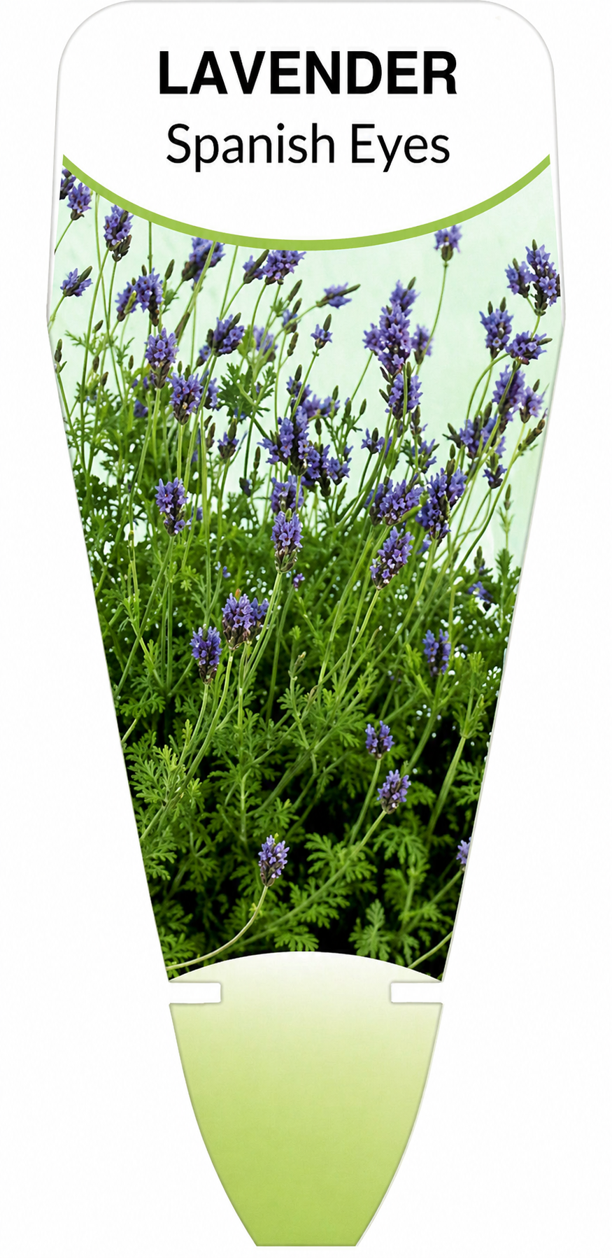 the plant broker