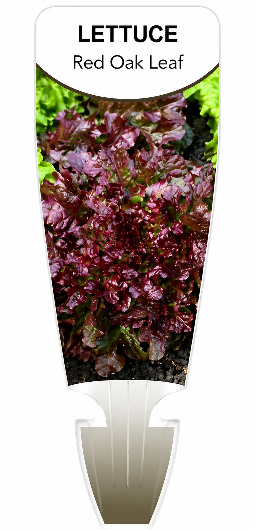 the plant broker