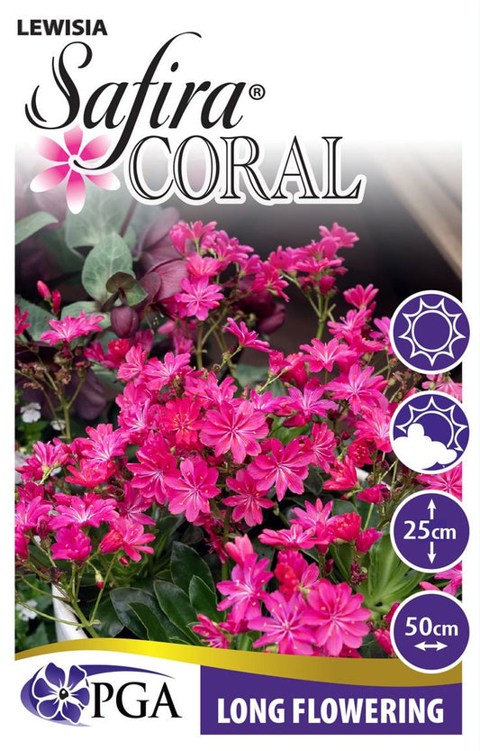 Lewisia ‘SAFIRA® Coral’