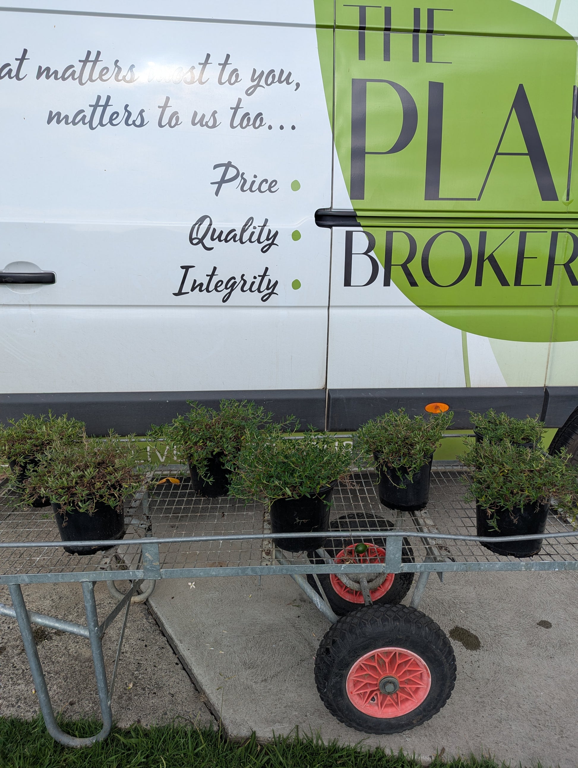 the plant broker