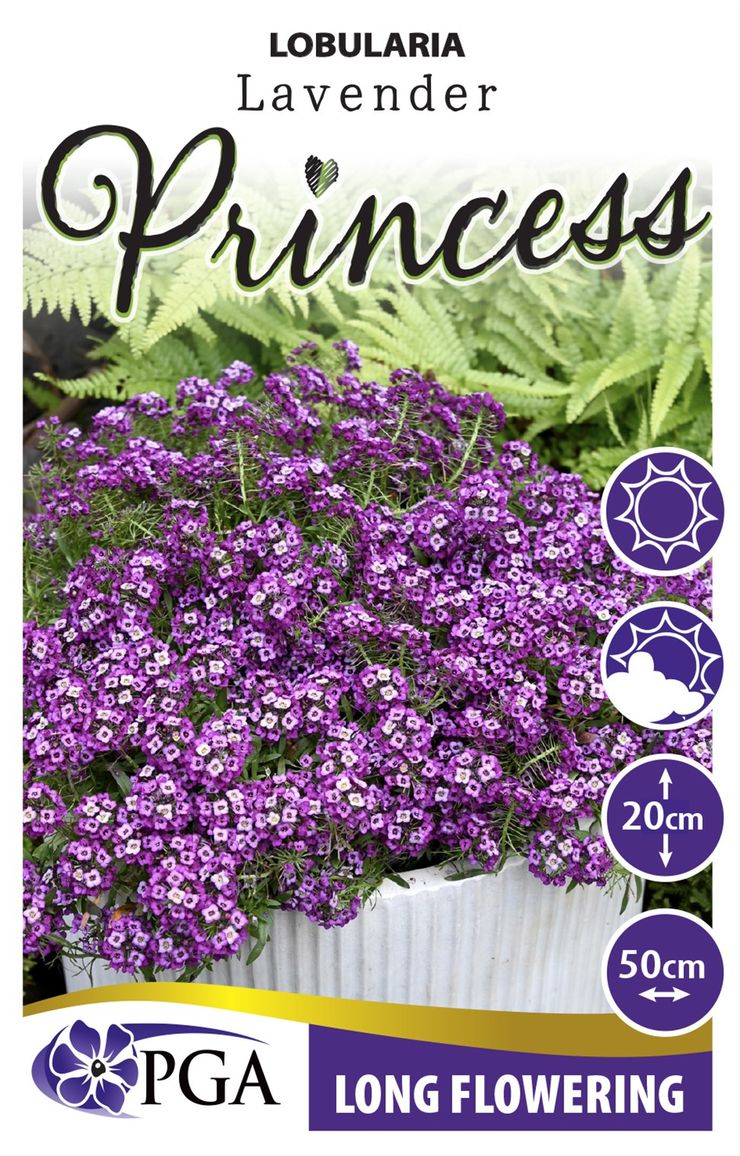 Lobularia PRINCESS ‘Lavender’