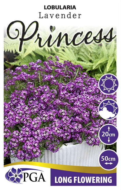 Lobularia PRINCESS ‘Lavender’