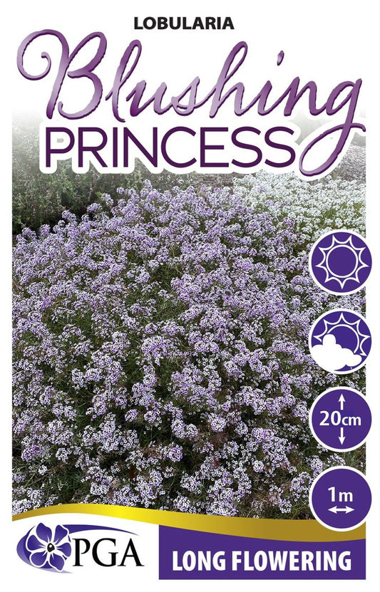 Lobularia ‘Blushing Princess’