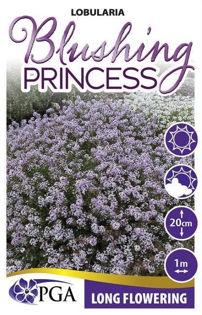 Lobularia ‘Blushing Princess’