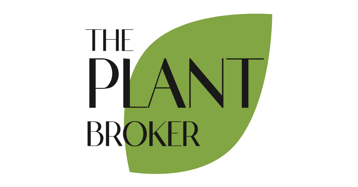 Garden Plants Page 6 The Plant Broker garden-plants-page-6-the-plant-broker