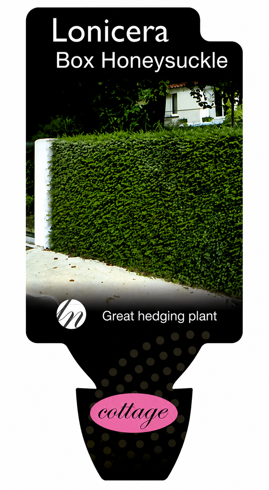 the plant broker