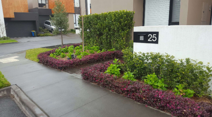 the plant broker