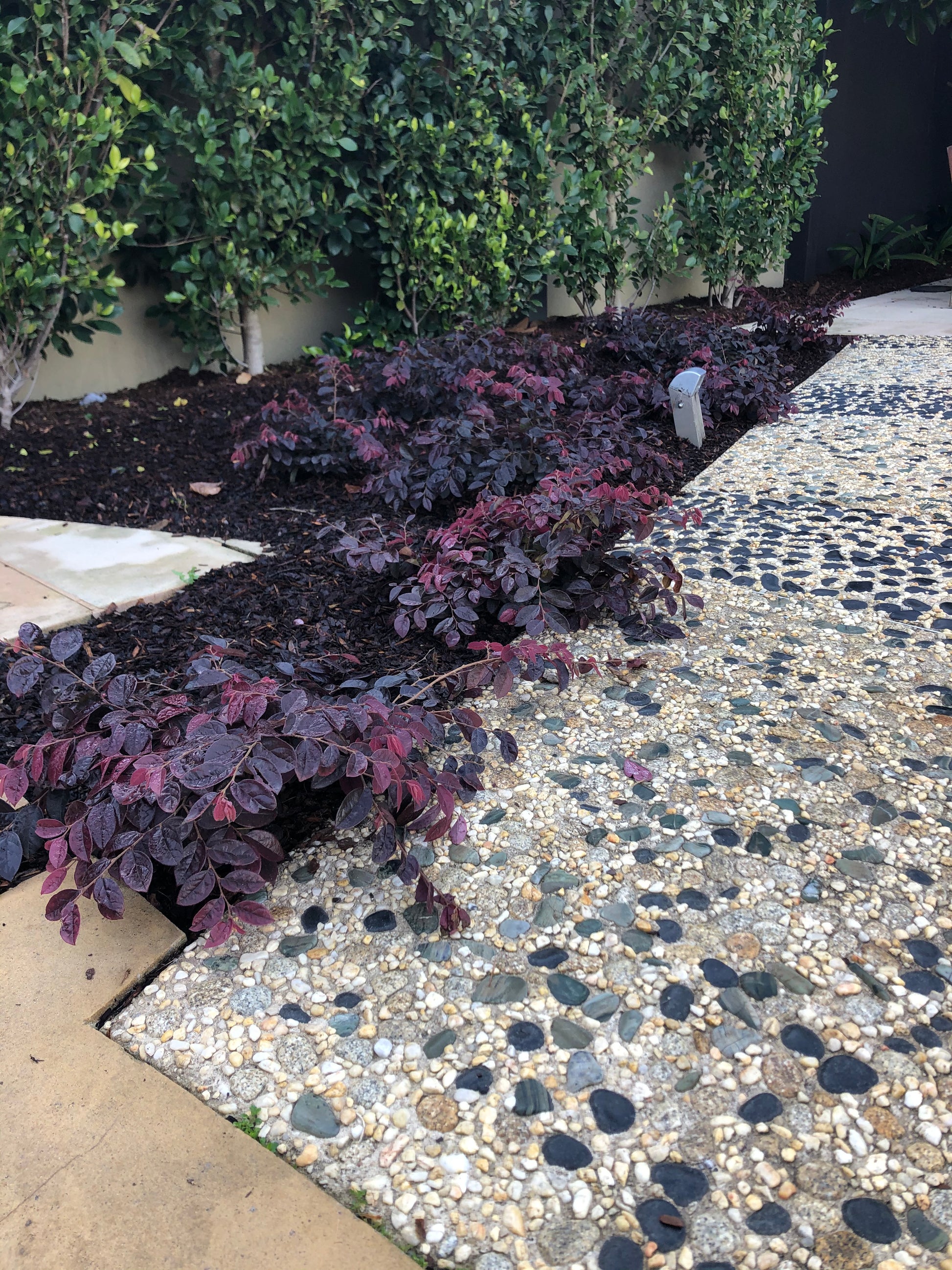 the plant broker