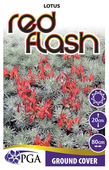 Lotus ‘Red Flash’