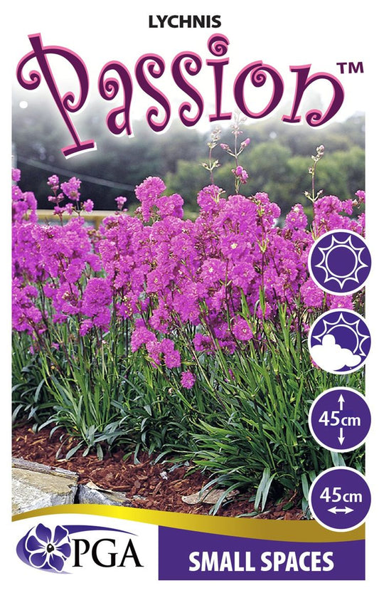 Lychnis ‘Passion’