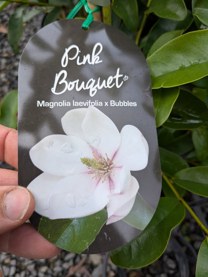 Magnolia Pink Bouquet