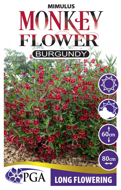 Mimulus ‘Monkey Flower Burgundy’