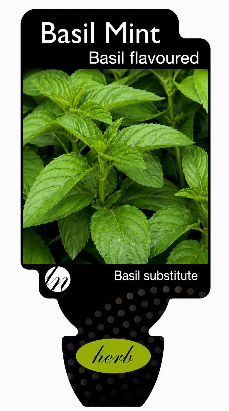 the plant broker