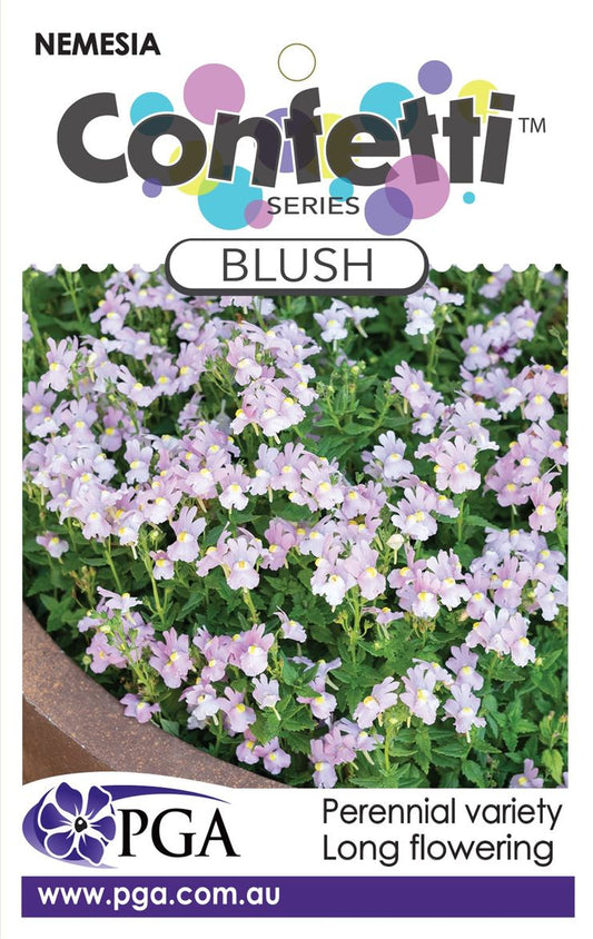 Nemesia ‘Confetti Blush’
