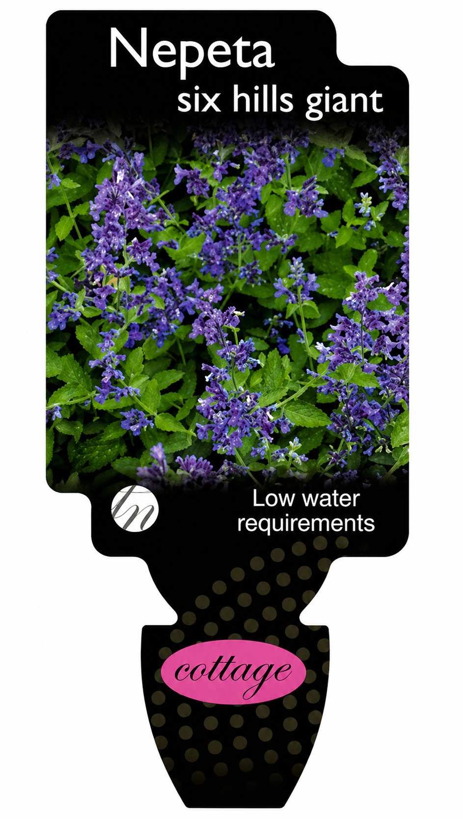 the plant broker