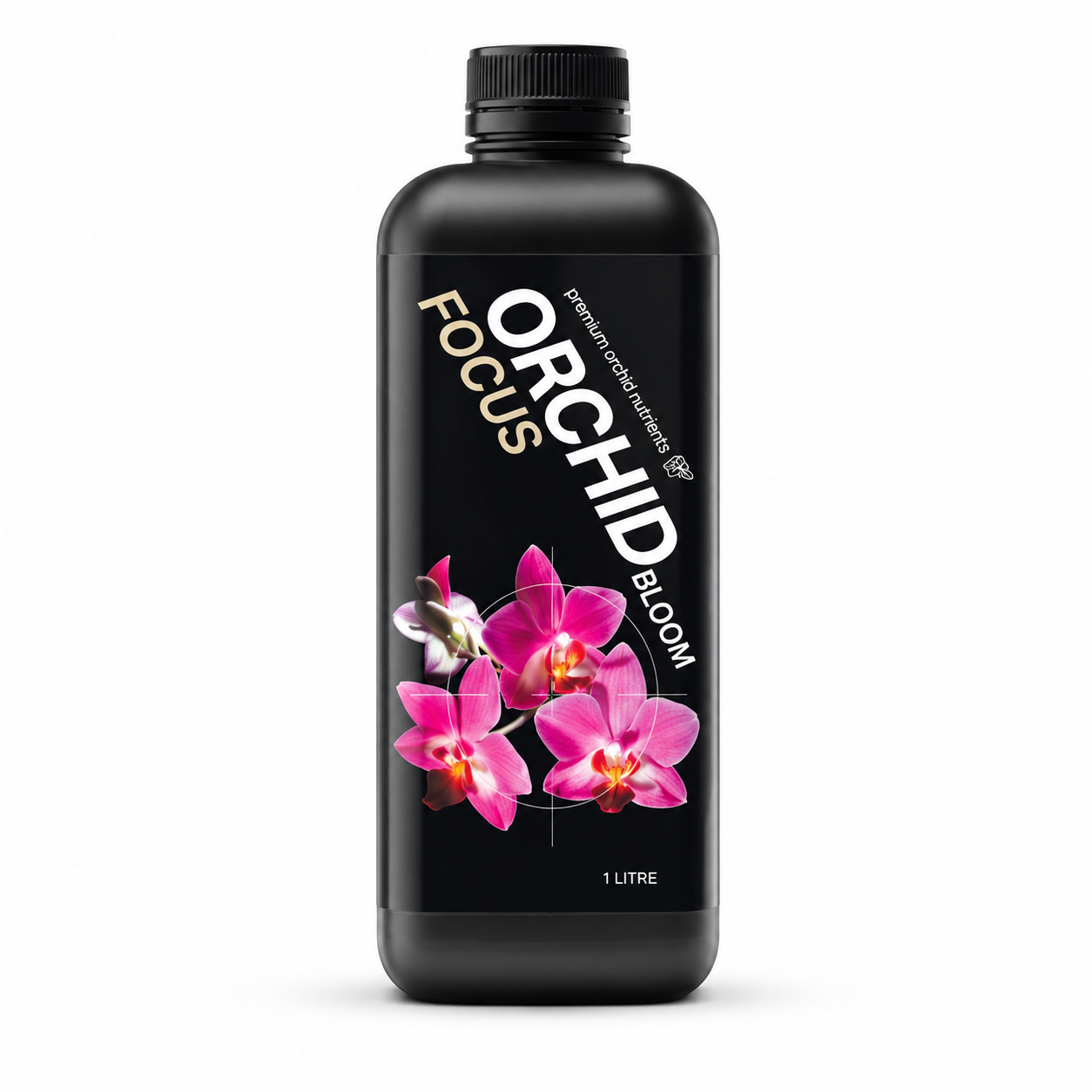 Orchid Bloom Focus