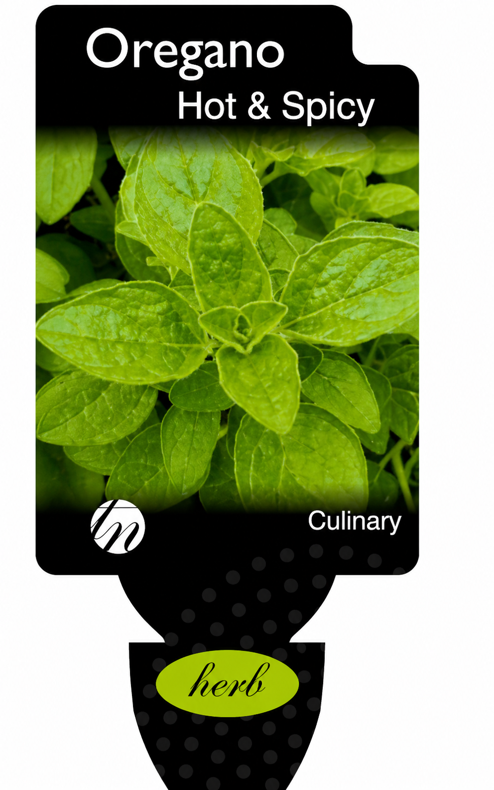 the plant broker