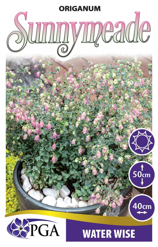 Origanum Sunnymeade