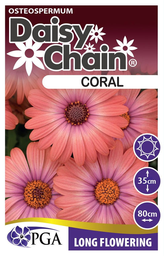Osteospermum ‘Coral DAISY CHAIN™’
