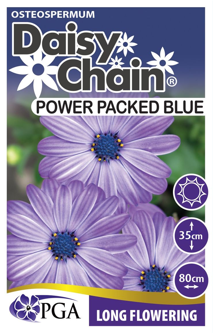 Osteospermum ‘Power Packed Blue DAISY CHAIN™’