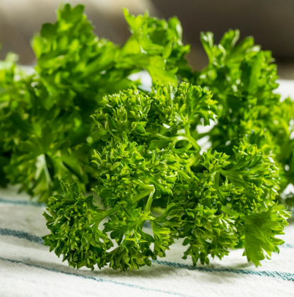 Parsley - Curly