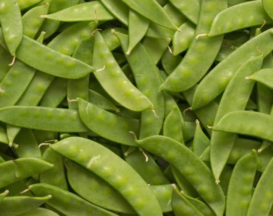 Pea - Snow