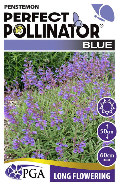 Penstemon PERFECT POLLINATOR®  Blue