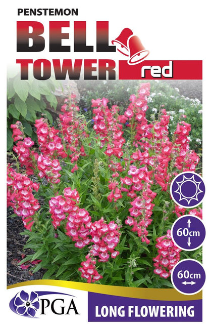 Penstemon ‘Bell Tower Red’