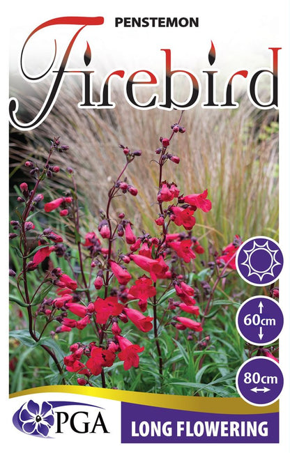 Penstemon ‘Firebird’