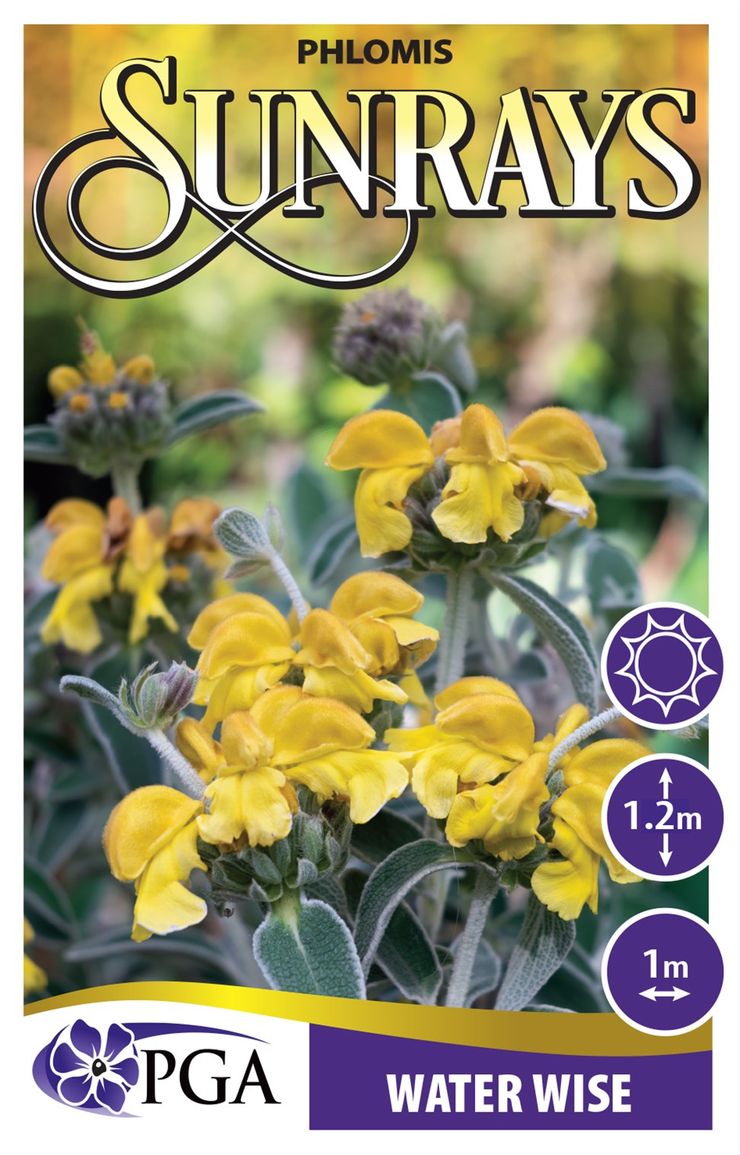 the plant broker