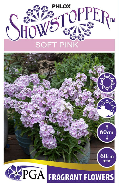 Phlox SHOWSTOPPER™ ‘Soft Pink’