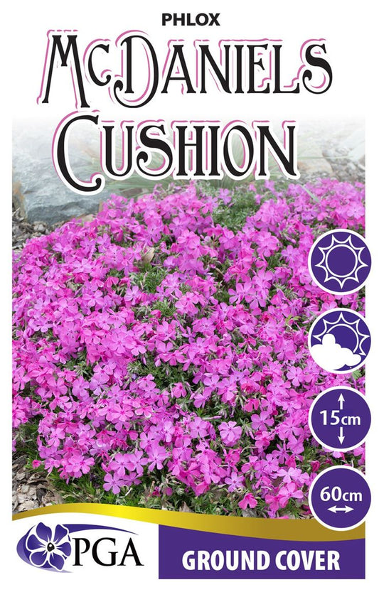 Phlox ‘McDaniels Cushion’
