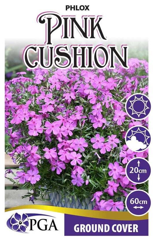 Phlox ‘Pink Cushion’