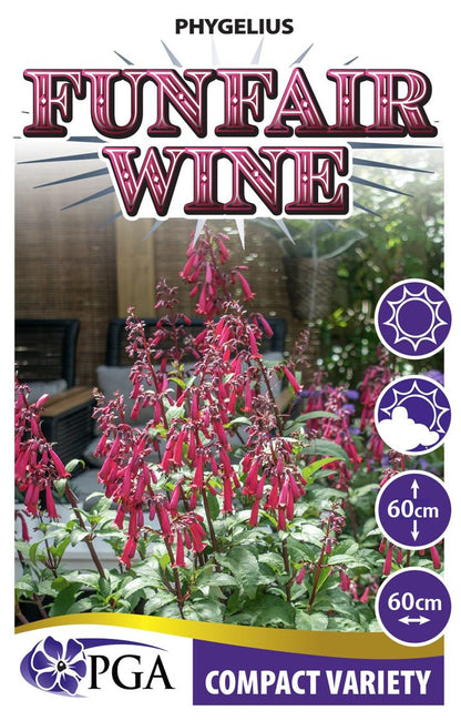 Phygelius ‘Funfair Wine’