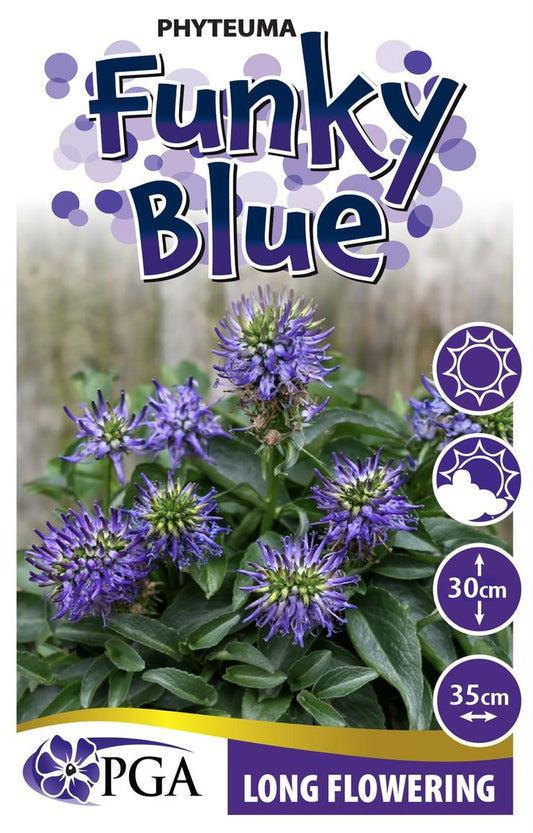 Phyteuma ‘Funky Blue’