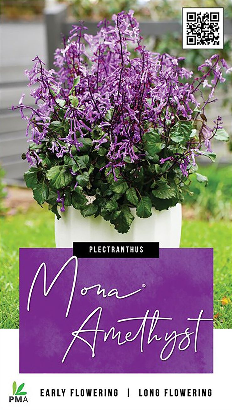 the plant broker