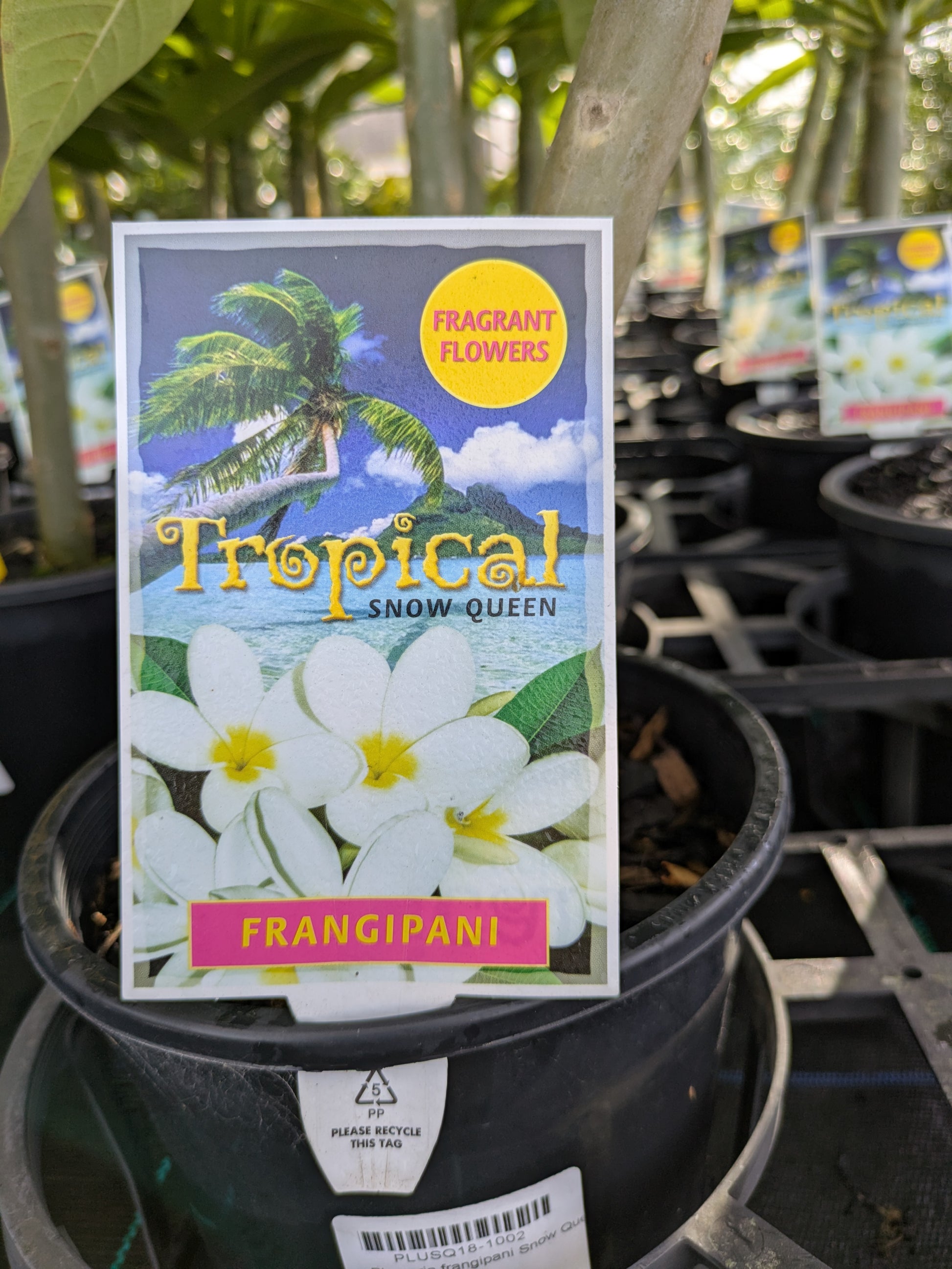 the plant broker