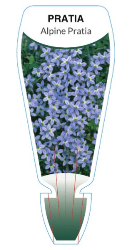 the plant broker