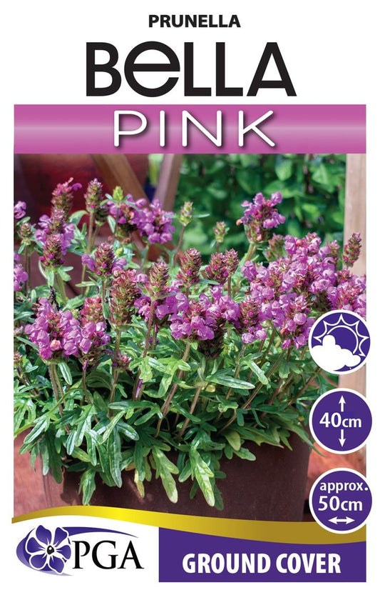 Prunella ‘Bella Pink’