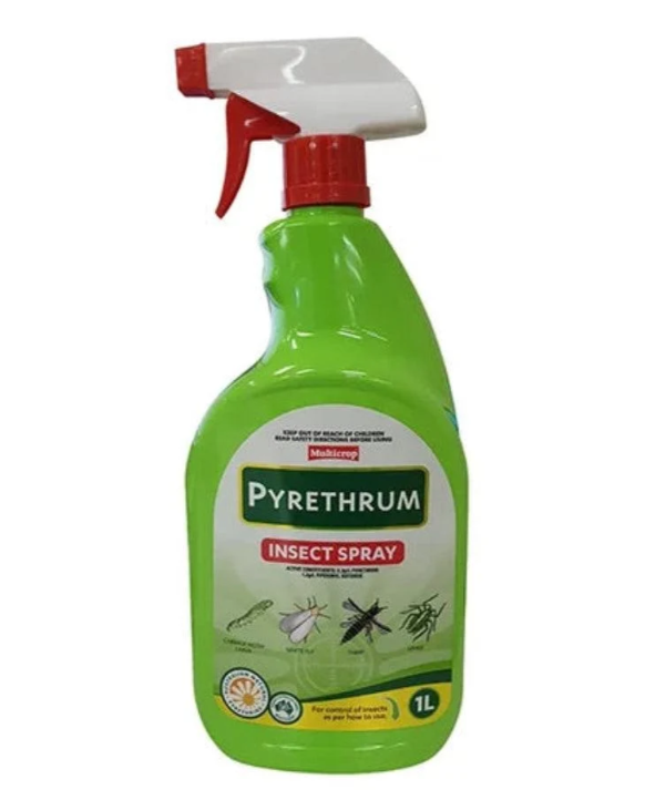 Pyrethrum RTU