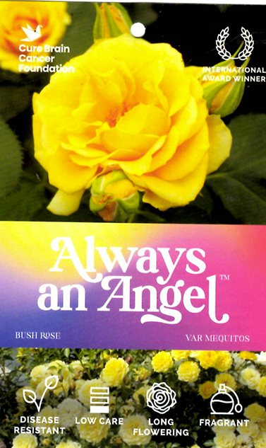 Rose - Always an Angel