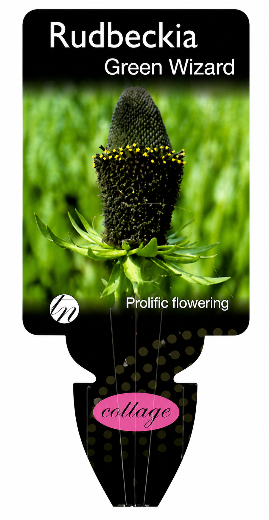 the plant broker