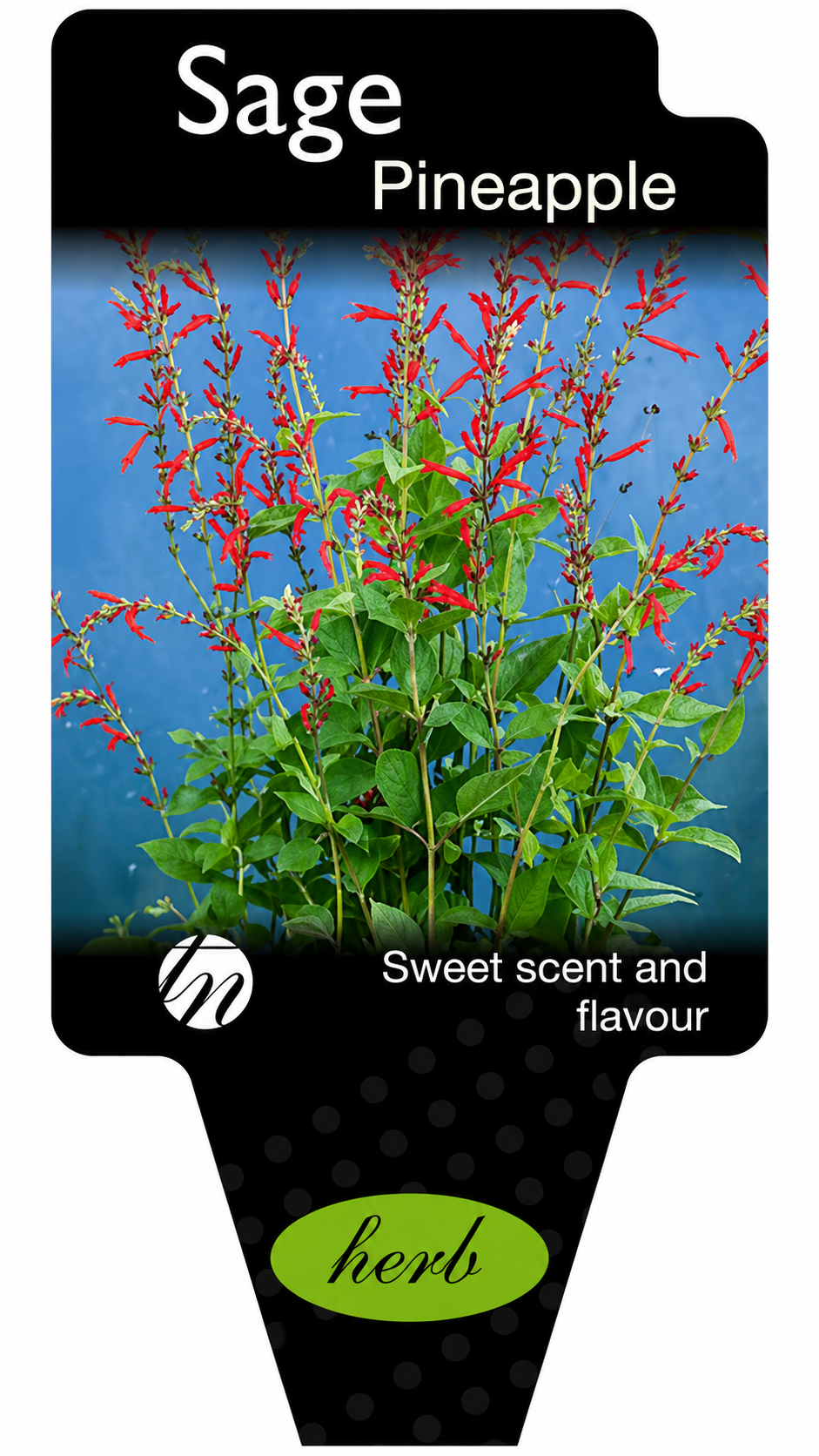 the plant broker