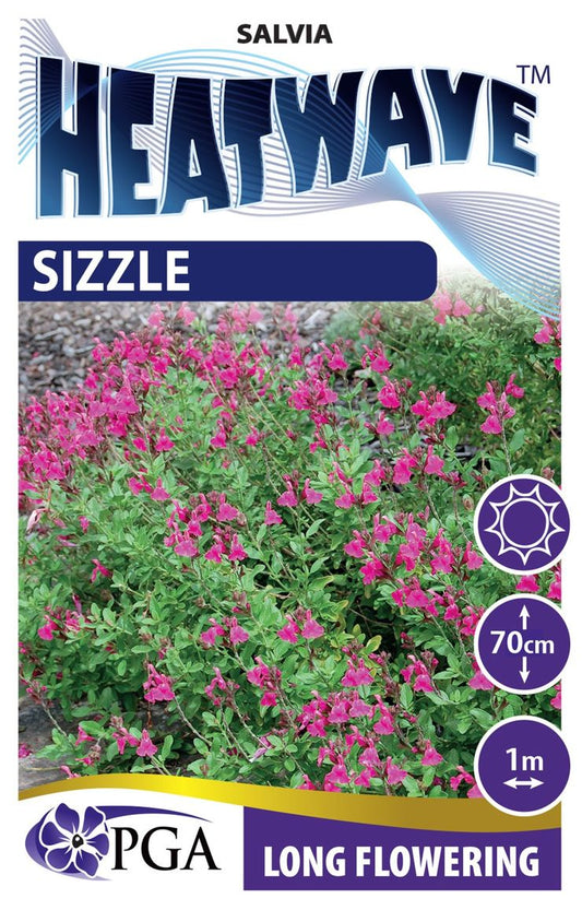 Salvia HEATWAVE™ ‘Sizzle’