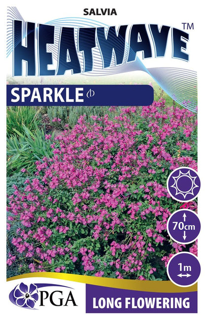 Salvia HEATWAVE™ ‘Sparkle’