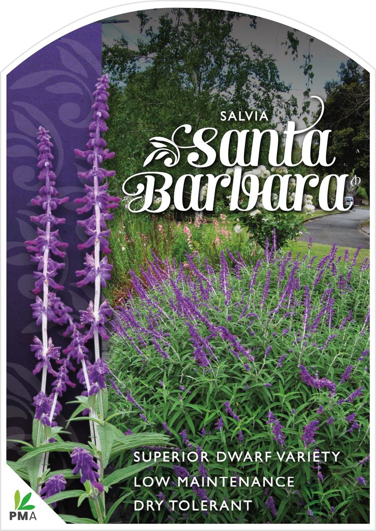 the plant broker