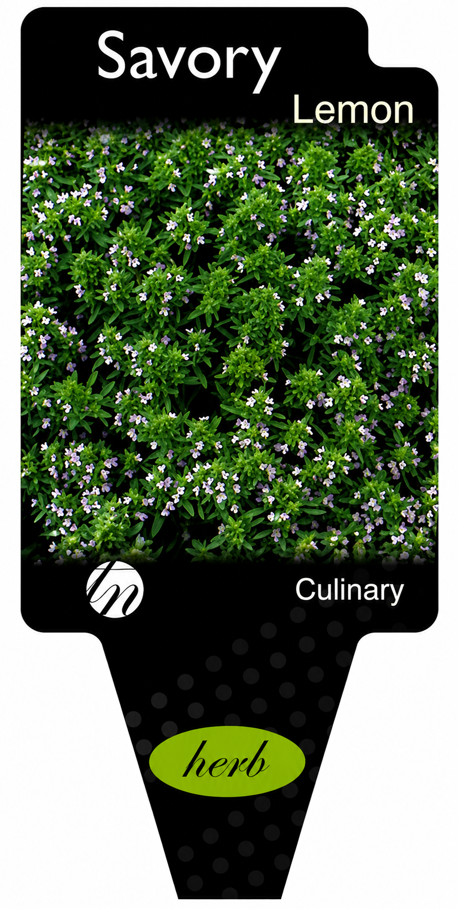 the plant broker